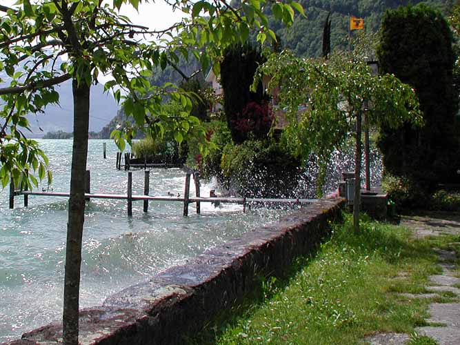 F�hn beim Friedhof