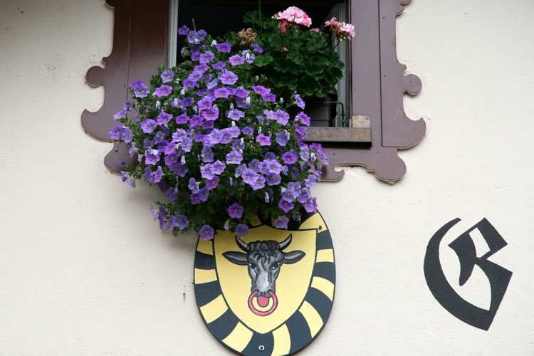 Stier Brunnen Gasthof