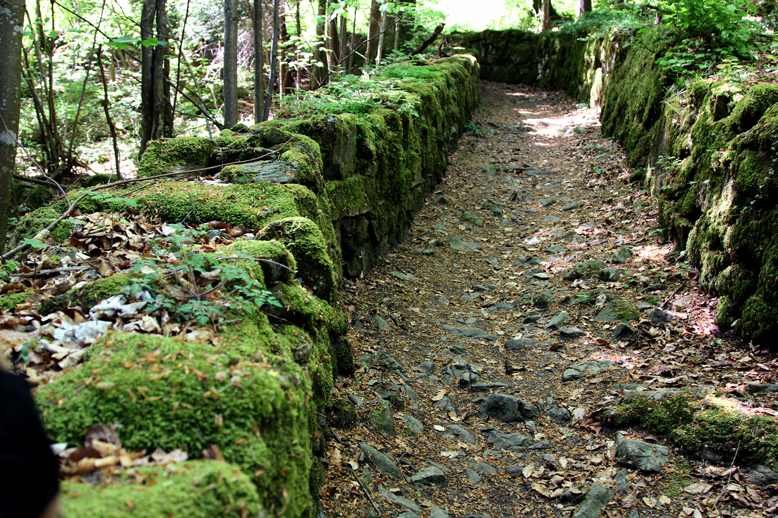 alter Landweg