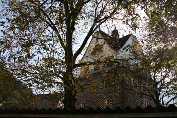 Flueelen Schloss Rudenz Feudalsitz Gotthardstrasse