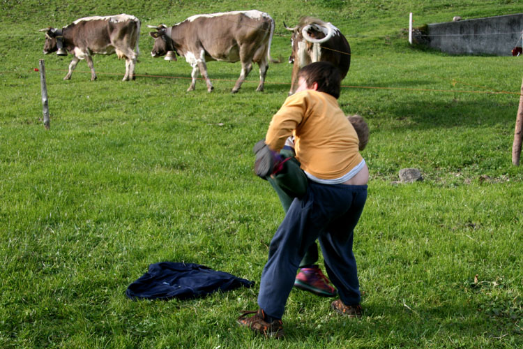 Bauen Feldmoos Waseneggli Furggelen Isenthal Isleten