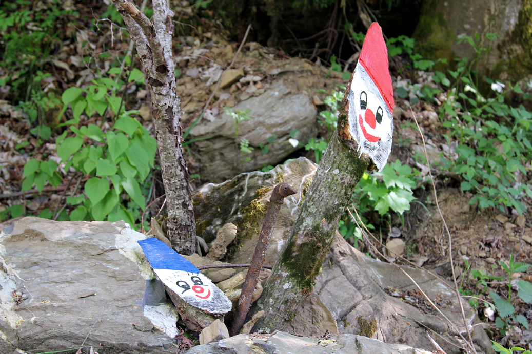 Zwergenwald