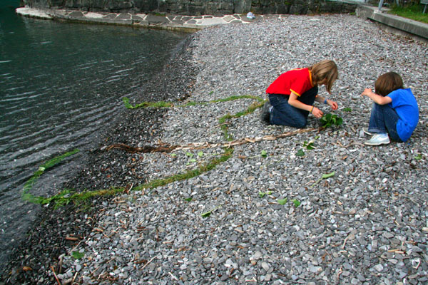 Schule in Bauen am Urnersee