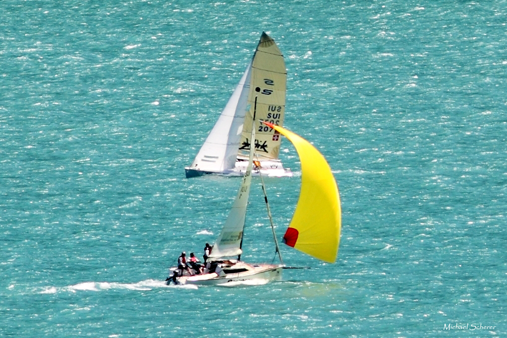 Regatta Urnersee