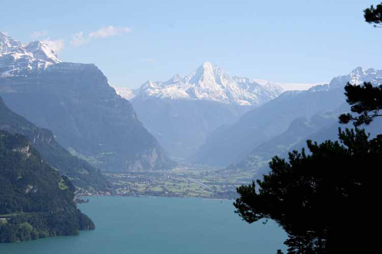 Aussicht über den Urnersee und in die Reussebene