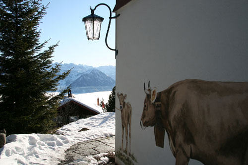 Hotel Bergsonne Rigi