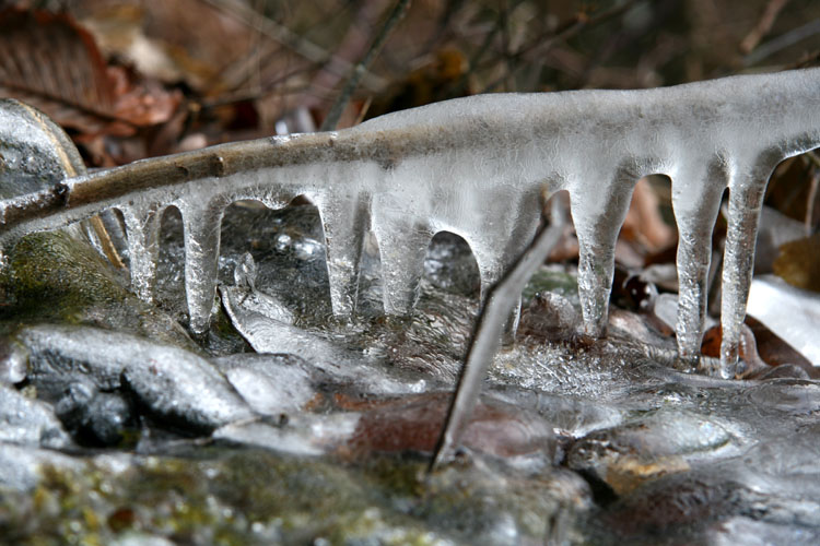Frost Eis Winter